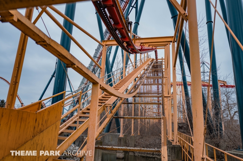 Iron Dragon at Cedar Point
