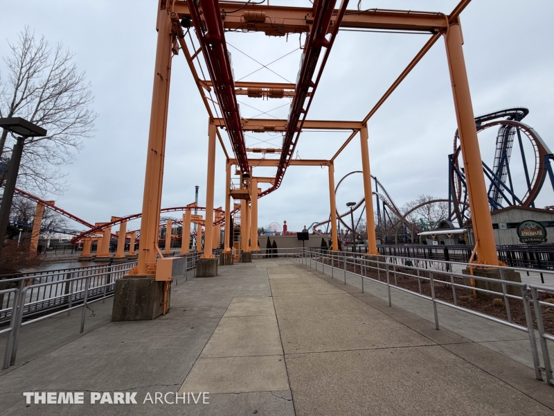 Iron Dragon at Cedar Point