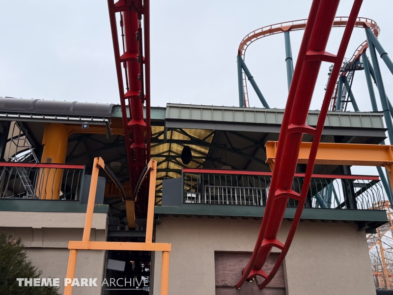 Iron Dragon at Cedar Point