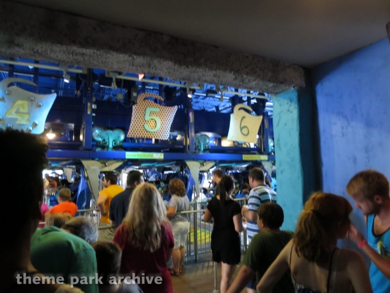 Manta at SeaWorld Orlando
