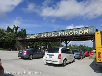 Disney's Animal Kingdom 2013