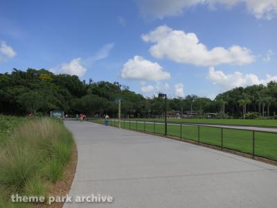 Disney's Animal Kingdom