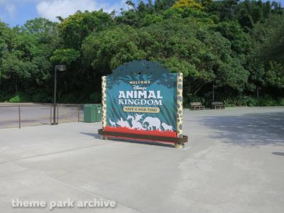 Disney's Animal Kingdom