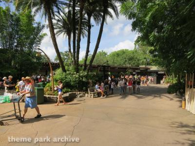 Disney's Animal Kingdom