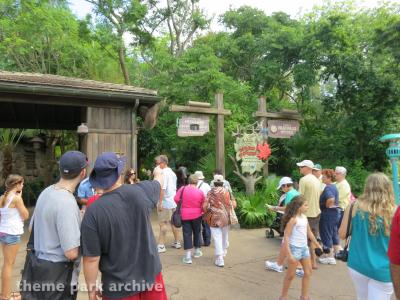 Disney's Animal Kingdom