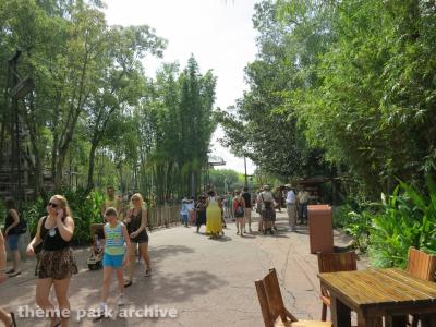 Disney's Animal Kingdom