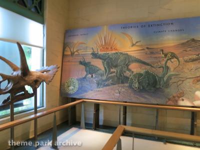 Disney's Animal Kingdom