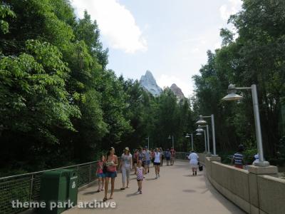 Disney's Animal Kingdom