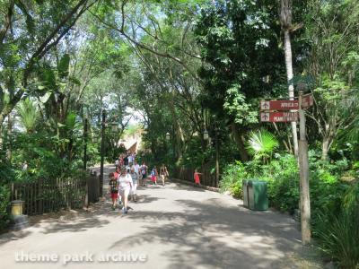 Disney's Animal Kingdom