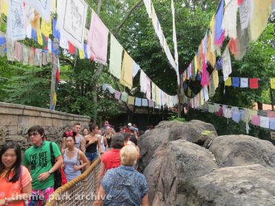 Disney's Animal Kingdom