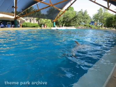 SeaWorld San Antonio