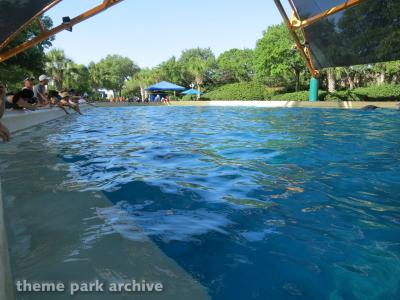 SeaWorld San Antonio