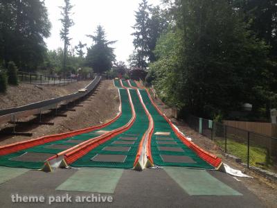 Wild Waves Theme Park