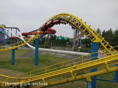 Wild Waves Theme Park