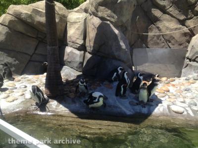 Six Flags Discovery Kingdom