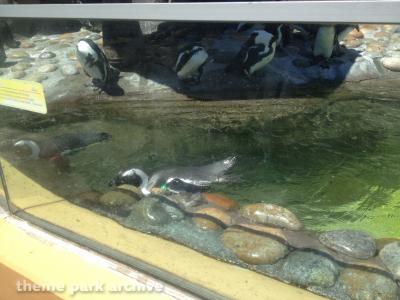 Six Flags Discovery Kingdom