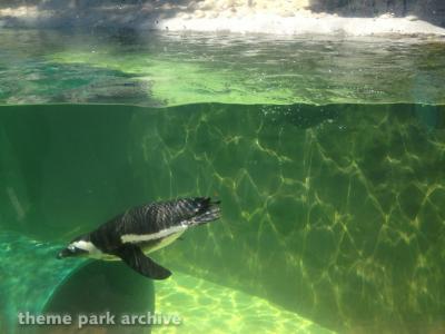 Six Flags Discovery Kingdom