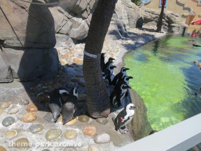 Six Flags Discovery Kingdom