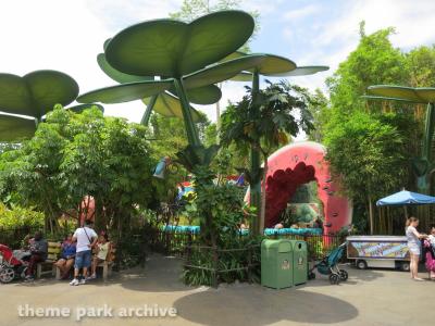 Disney California Adventure