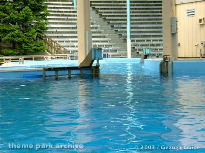 Killer Whale Stadium