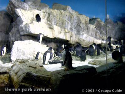 Penguin Experience