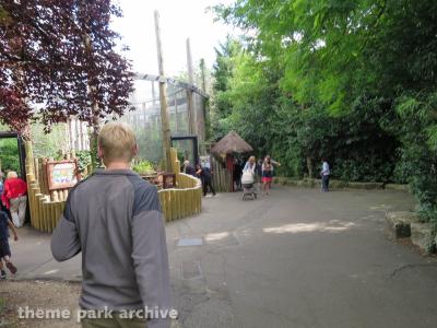 Chessington Zoo