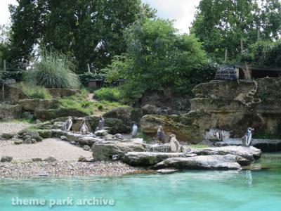 Chessington World of Adventures Resort