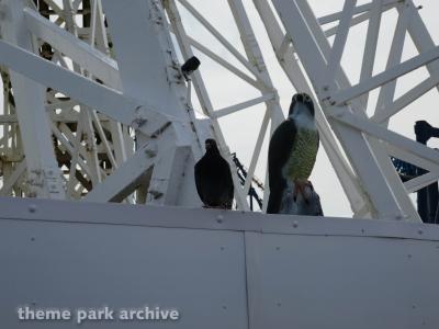 Blackpool Pleasure Beach