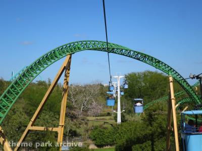 Busch Gardens Tampa