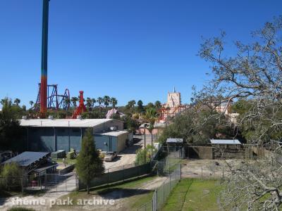 Busch Gardens Tampa