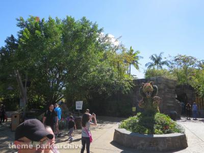 Busch Gardens Tampa