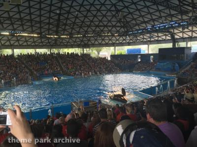 SeaWorld San Antonio