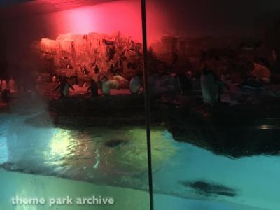 SeaWorld San Antonio