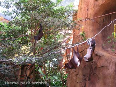 Disney's Animal Kingdom