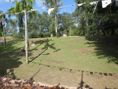 Disney's Animal Kingdom