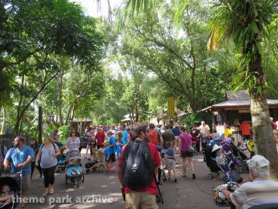 Disney's Animal Kingdom