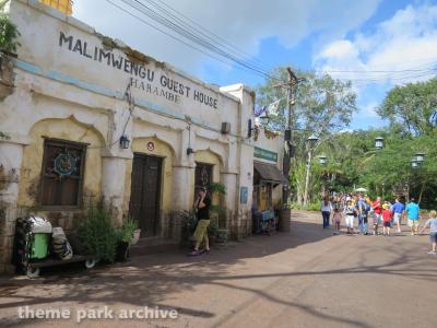 Disney's Animal Kingdom