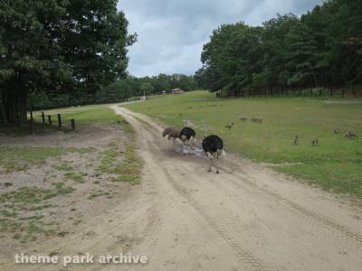 Safari Off Road Adventure