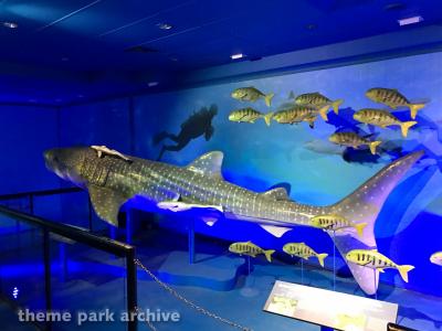 Sea World Gold Coast