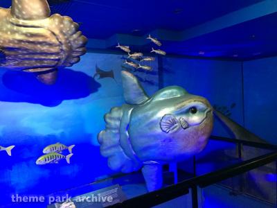 Sea World Gold Coast