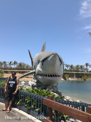 Sea World Gold Coast