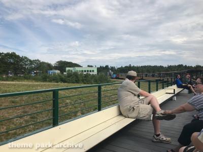 Thomas the Tank Engine Train Ride