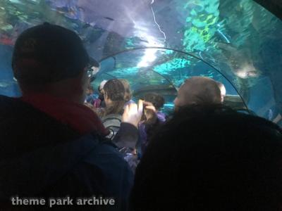 Atlantis by SEA LIFE