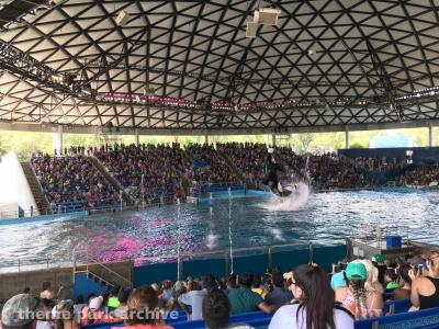 Shamu Theater