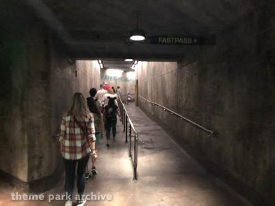 Disney's Animal Kingdom