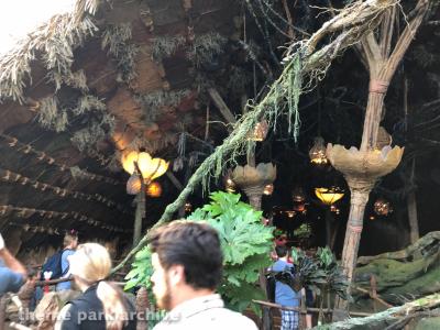 Disney's Animal Kingdom