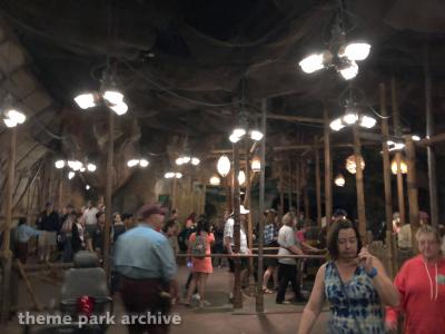 Disney's Animal Kingdom