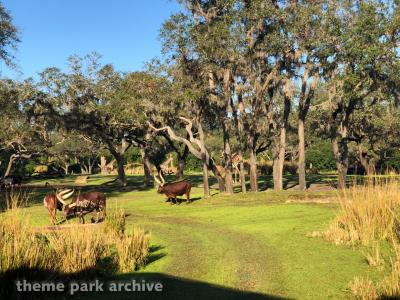 Disney's Animal Kingdom