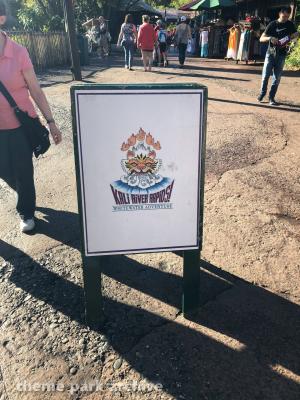 Disney's Animal Kingdom