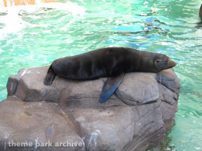 SeaWorld San Diego